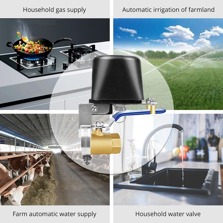 Automatic Gas Valve/Smart Water Shut Off 